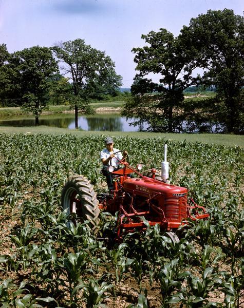 Farmer using a McCormick Farmall H tractor in a cornfield near a pond. The tractor is equipped with a cultivator.