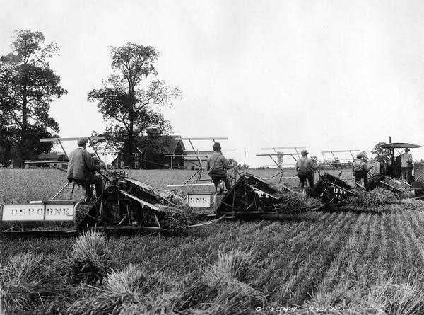 Men harvesting grain with four Osborne grain binders pulled by an Emerson Brantingham(?) tractor.