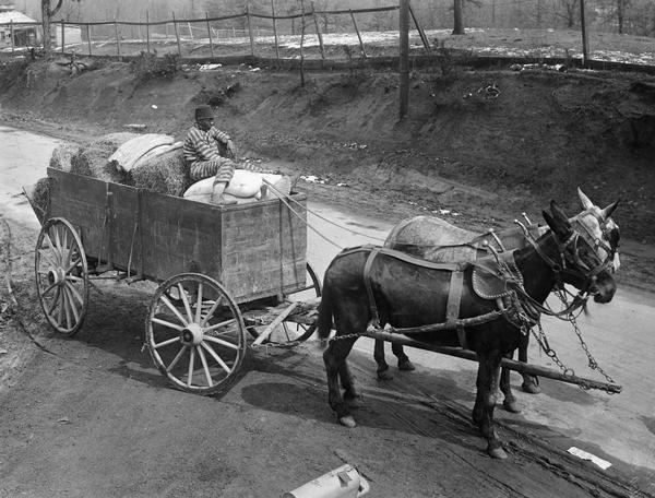 Elevated view of an African American prisoner hauling goods with a horse-drawn wagon. Original caption reads: "Baled alfalfa, bacon, flour and grain which have all been shipped in from the north being hauled to the farm by a 'trusty convict' at Meridian, Miss. All of these products could and should have been raised in the south. By so doing the Southern farmer could have kept his money at home."