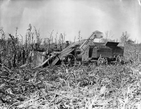 Farmers using a Farmall tractor, corn-picker and wagon in a cornfield on the farm of Robert Garst.