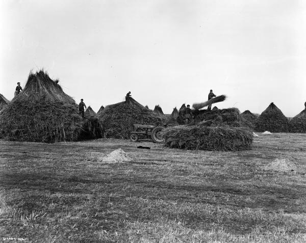 Original caption reads in part: "Stock piles shown were being built for Matt Rens Hemp Company for mill located on 120-acre farm near Brandon, Wisconsin. This company operates two mills and has been producing hemp fiber for a number of years. It is being used mostly in the manufacture of thread . . . The Farmall H shown is one of four Farmall tractors operated by the Matt Rens Hemp Company."