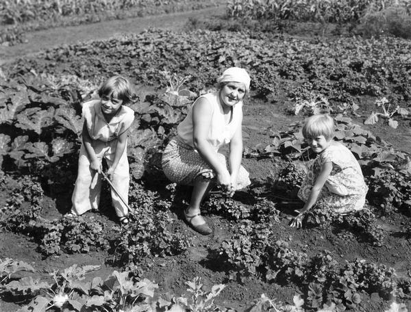 Mother and her two daughters at work in the McCormick Works community garden. The garden was one of several factory gardens created under International Harvester's "garden project." The gardens were intended to aid unemployed and underemployed workers from the company's factories. Employees with at least five years service were eligible for garden plots. The McCormick Works community gardens were located near 95th street and Crawford Avenue, and consisted of approximately 440 acres divided into 50 by 150 feet plots. The gardens were utilized by over 1,800 employees.
