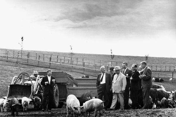 Soviet Premier Nikita Khrushchev inspecting hogs on a farm. Khrushchev is accompanied by Roswell "Bob" Garst and Ambassador Henry Cabot Lodge.