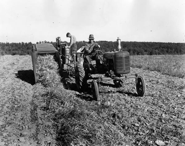 Men harvesting beans with a four foot combine (harvester-thresher) and a Farmall A tractor. Original caption reads: "4-ft. combine in beans — note special supplemental divider."