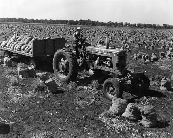 Slightly elevated view of a farmer hauling sacks of onions on a trailer pulled by a diesel Farmall MD tractor on the Jaskin Brothers farm.