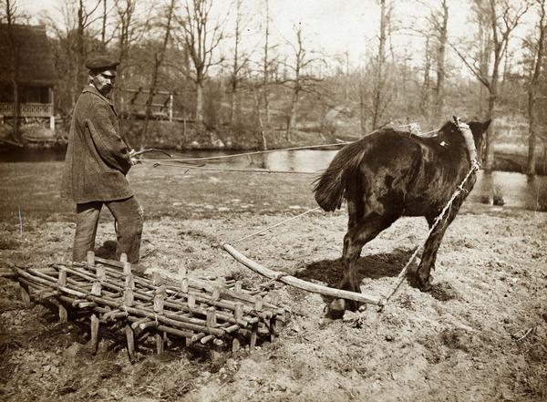 Man guides a homemade harrow through a field with a horse. The original caption reads: "Primitive methods of agriculture in Russia (Volga region)."