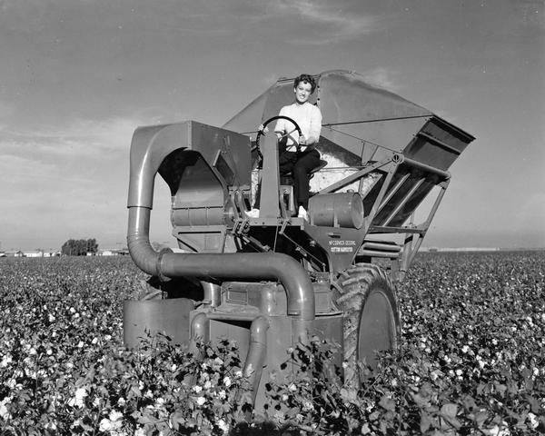 Nineteen-year-old Dorothy Hutchinson, a student at Fresno State College, operates a McCormick-Deering H-10-H cotton harvester in a field of cotton on the Hotchkiss Estate.