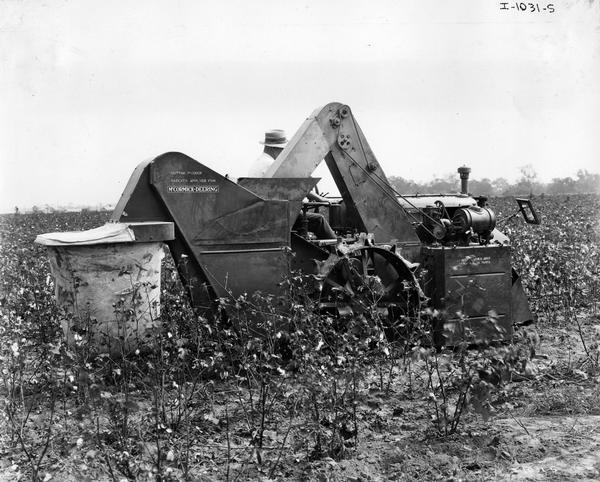 View across cotton field towards right side of a man operating an experimental McCormick-Deering side and rear mounted one-row cotton picker.