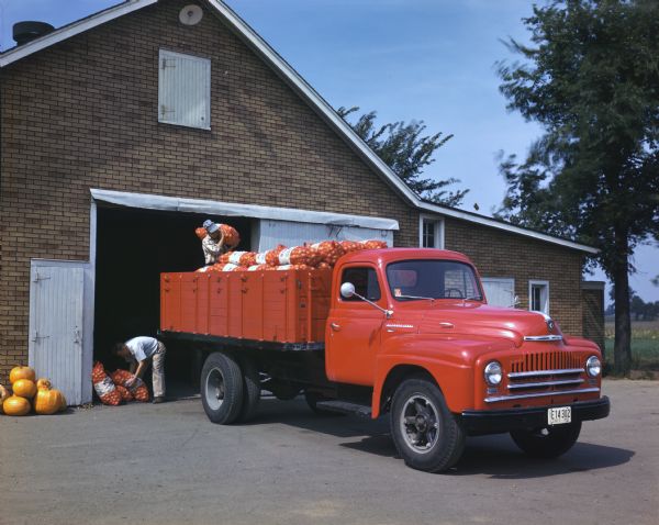 Vie across drive towards two men loading bags of onions into an International L-160 truck parked outside a garage or storage shed. Pumpkins are stacked on the left side of the garage.