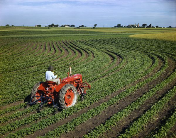 Elevated view of a farmer in a field operating a McCormick Farmall C tractor with mounted cultivator. Rows of crops wind off into the distance.