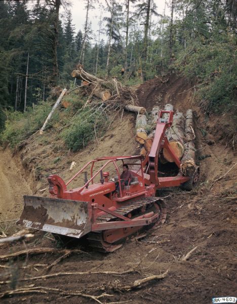 View of a man using an International Diesel TD 24 crawler tractor (TracTractor) to haul logs.