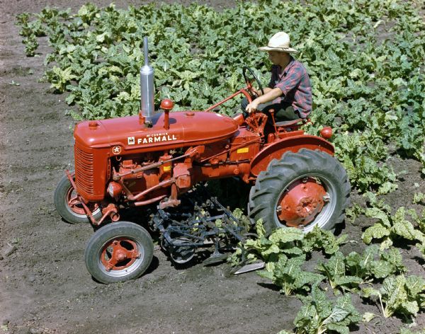 Elevated view of a man cultivating a field with a Farmall Super A tractor and attached cultivator.
