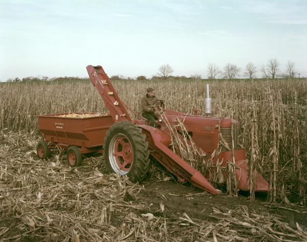 View of a man picking corn with a two-row corn picker mounted on a Farmall 400 tractor.