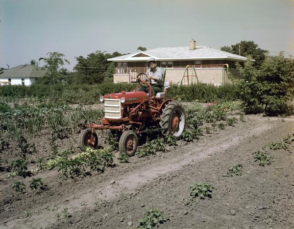 Three-quarter view towards a man operating a Farmall Cub tractor in a garden.