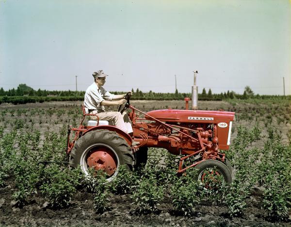 View towards a man operating a Farmall 140 tractor with an attached cultivator in a field.