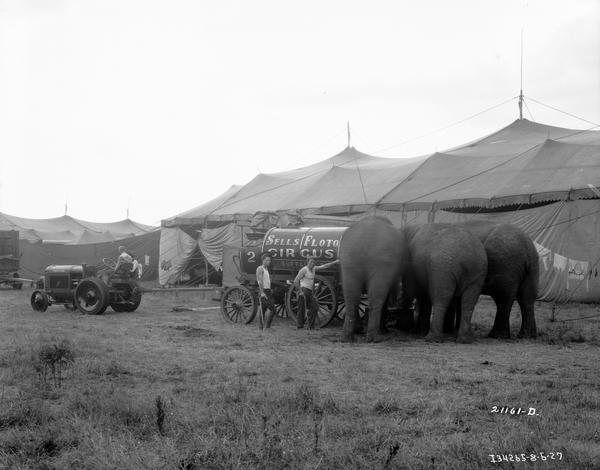 Two circus workers standing next to a water wagon pulled by a McCormick-Deering tractor. The men are providing water for three elephants outside the tents of the Sells-Floto Circus.