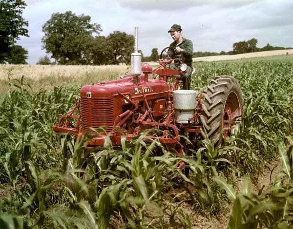 Three-quarter view from front left of a man operating a McCormick Farmall Super H tractor with cultivator in a cornfield.