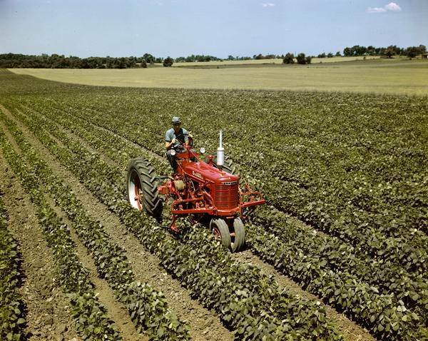 Slightly elevated view of a man in a field operating a McCormick Farmall H tractor with front-mounted cultivator, either at or near the company's experimental farm in Hinsdale, Illinois.
