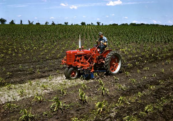 View towards a man operating a McCormick Farmall C tractor with attached cultivator in a field.