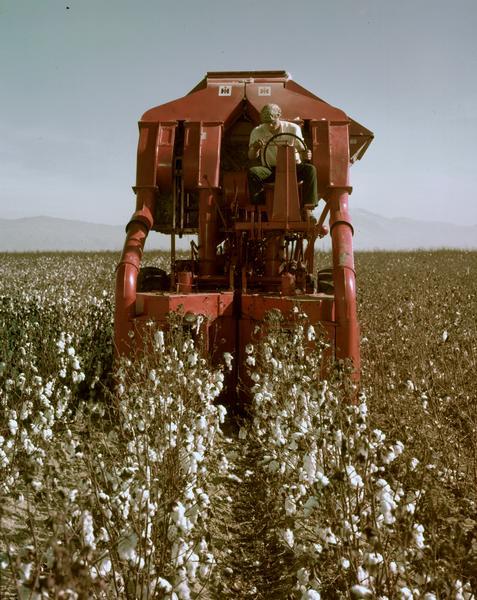 Man riding an International M-220 two-row cotton picker through a cotton field.