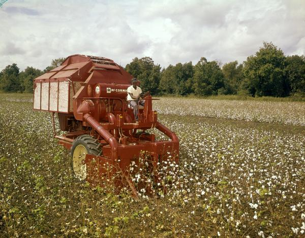Man harvesting cotton with a McCormick 220-A self-propelled cotton picker.