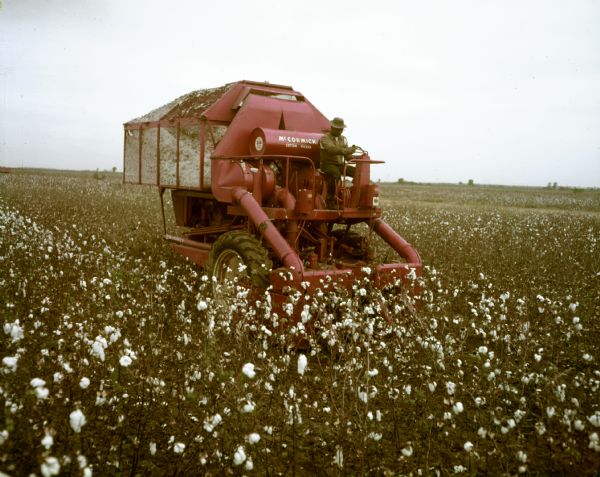 Man operating a McCormick 214 2-row, low draw cotton picker in a cotton field.