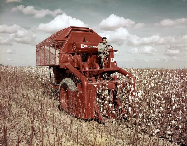 Man harvesting cotton with a McCormick 220 cotton picker.