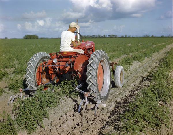 Rear view from right of a farmer cultivating a field with a McCormick-Deering Farmall AV tractor and attached cultivator.