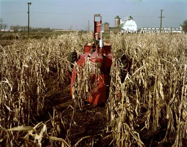 Color photograph of a man harvesting corn with a McCormick corn picker on International Harvester's experimental farm.