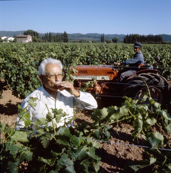 Color photograph of a man drinking from a glass of wine in a vineyard in France. In the background a vineyard worker is cultivating the field with an International Harvester tractor.