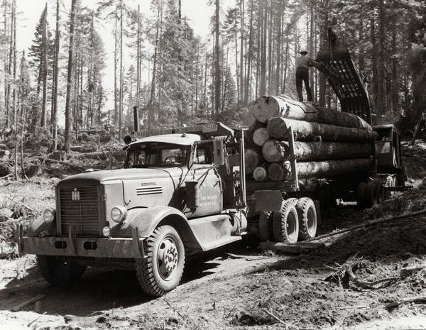 Workers loading logs onto an International RF-230 logging truck owned by George M. Pierson. A man is in a forklift behind the truck, and another man is standing on top of the logs on the back of the truck moving a log attached to the forklift. There are six Oregon license plates lined up above the back of the cab roof.