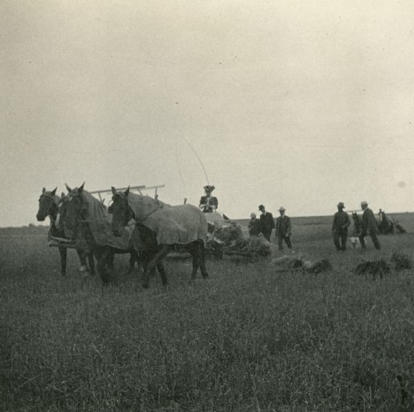 Katherine Dexter McCormick operating a horse-drawn grain binder on a 1,320 acre farm near west of Fargo, North Dakota. The five men following the binder are Mr. Pridmore, Mr. Cavanaugh, Mr. Brooks, a farmer and Mr. Sharp of the Osborne Experimental Department. The photograph was likely taken by Katherine's husband, Stanley McCormick.