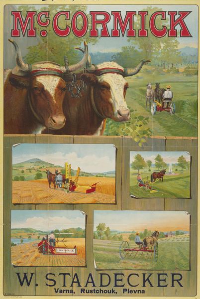 Color illustrations advertising poster for McCormick harvesting machinery showing two steers looking over a fence with images of a reaper, mower, binder and hay rake. Farmers use horses to use agricultural impelements in the field. Imprinted with "W. Staadecker; Varna, Rustchouk, Plevna."