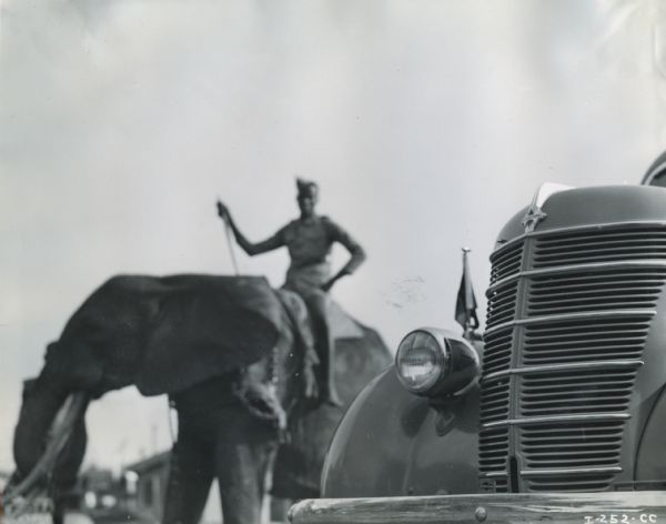 The grill of an International truck with an African man riding an elephant in the background. The truck was built by International Harvester for Commander Attilio Gatti's tenth African expedition.