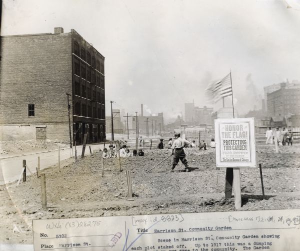 Children working in an urban community garden. Original caption reads: "Scene in Harrison Street Community Garden showing each plot staked off. Up to 1917 this was a dumping ground and an eyesore to the community. The Garden Campaign turned it into usefulness and a place for the children to spend their time doing something worth while." A sign in the foreground reads: "Honor the flag! Protecting this garden, as a part of the food supply of the nation; the Garden Bureau of Chicago."