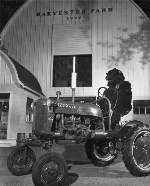 The "Carousel Bear" sitting astride a Farmall Cub tractor at the Harvester Farm exhibit at the Museum of Science and Industry.
