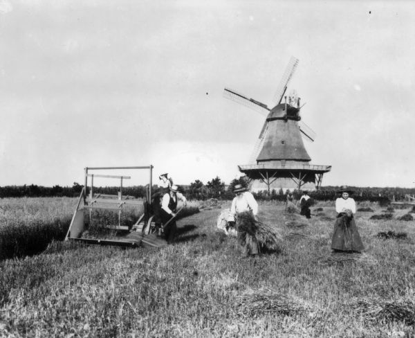 Two men, two women and a boy harvesting grain with an early McCormick reaper. A windmill is in the background. The photograph may have been a staged re-enactment of earlier harvesting methods. The reaper was likely a model or replica of Cyrus McCormick's reaper of 1831.