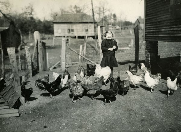 Six year-old Zula Belle Walker of McDonald Chapel, Jefferson County, feeding her mongrel flock of poultry.