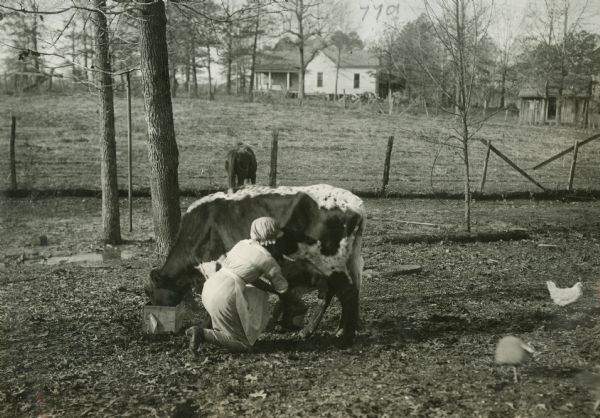A woman wearing a bonnet and apron kneeling in a field to milk a cow.