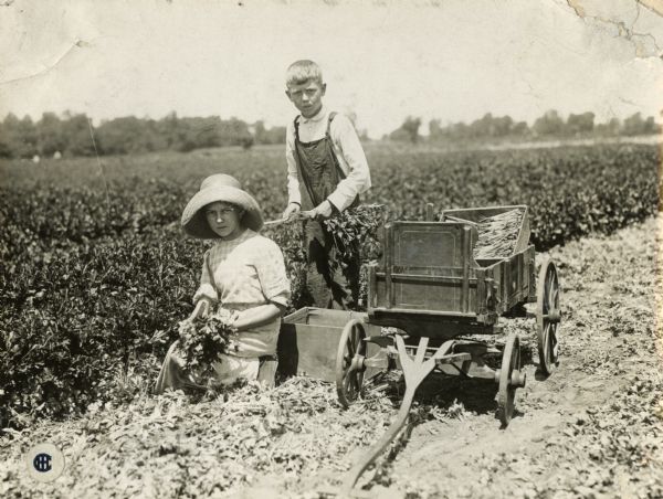A girl and a boy doing field work beside a wagon.