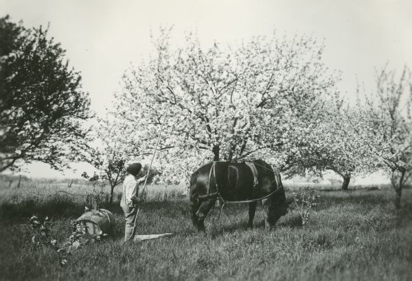 Barrel Spraying | Photograph | Wisconsin Historical Society