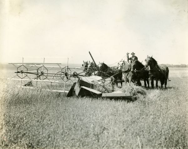 A farmer and his team of horses operating a McCormick push binder.