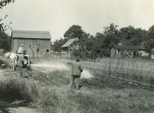 Men using the "big sprayer" to apply pesticide to garden potatoes at R.R. Robertson's farm.