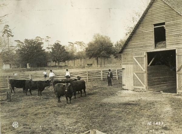 Elbert Blow farm, with three men and a young child posing. Shows short horn cattle, the barnyard, and home.