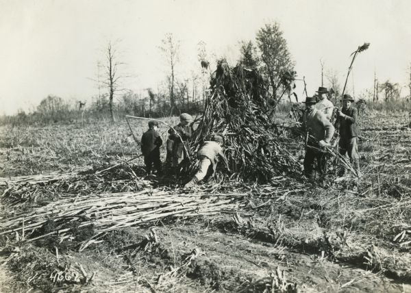 A group of farmhands, including young boys, stripping the fodder from the cane before it is taken to the press where the sap is extracted.