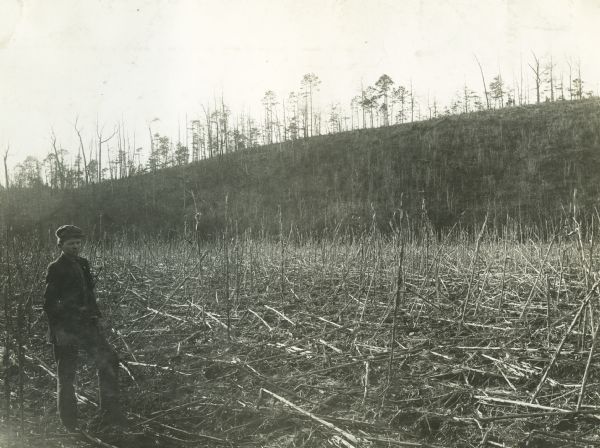 Walker Lee Dunson standing in a cornfield, possibly near Hillabee Creek in Tallapoosa County.