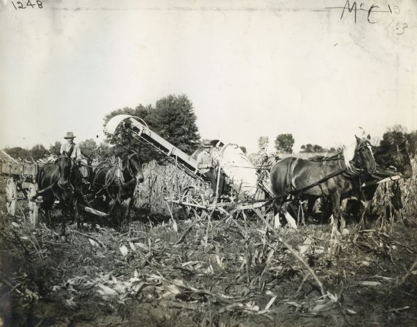 Farmers with a horse-drawn corn picker.