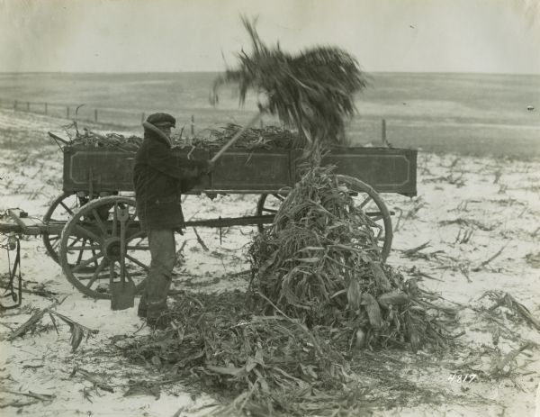 A farmer shoveling corn stalks from a field into a wagon.