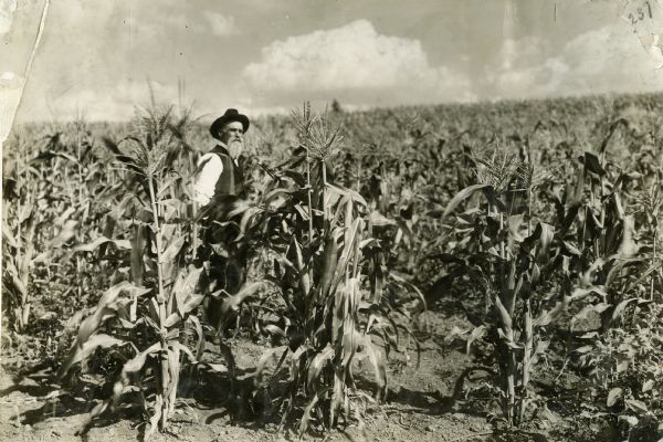 James L. Reid, the developer of Yellow Dent Corn, stands in a cornfield.
