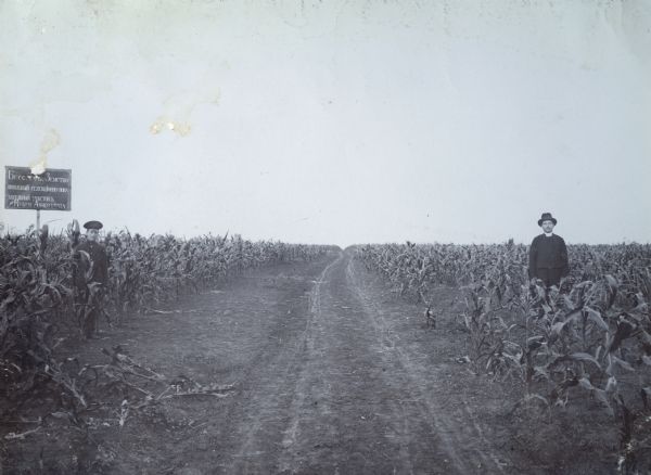 Two men stand on either side of a path in a cornfield in South Russia.